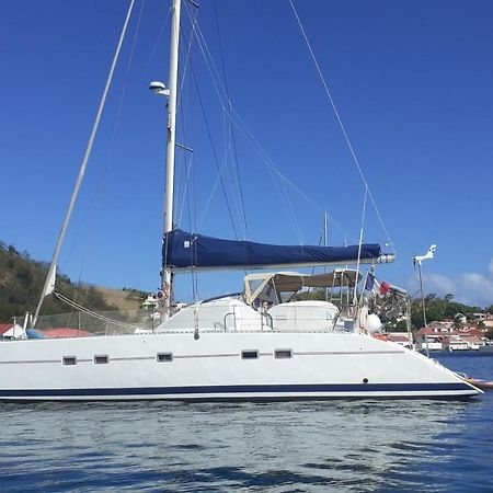 Hotel Catamaran Cypraea Terre-De-Haut Exteriér fotografie