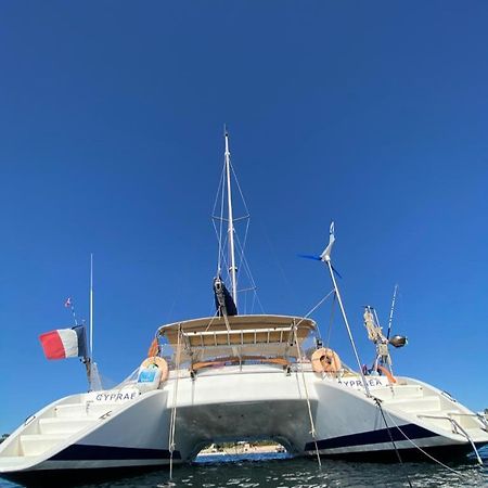 Hotel Catamaran Cypraea Terre-De-Haut Exteriér fotografie