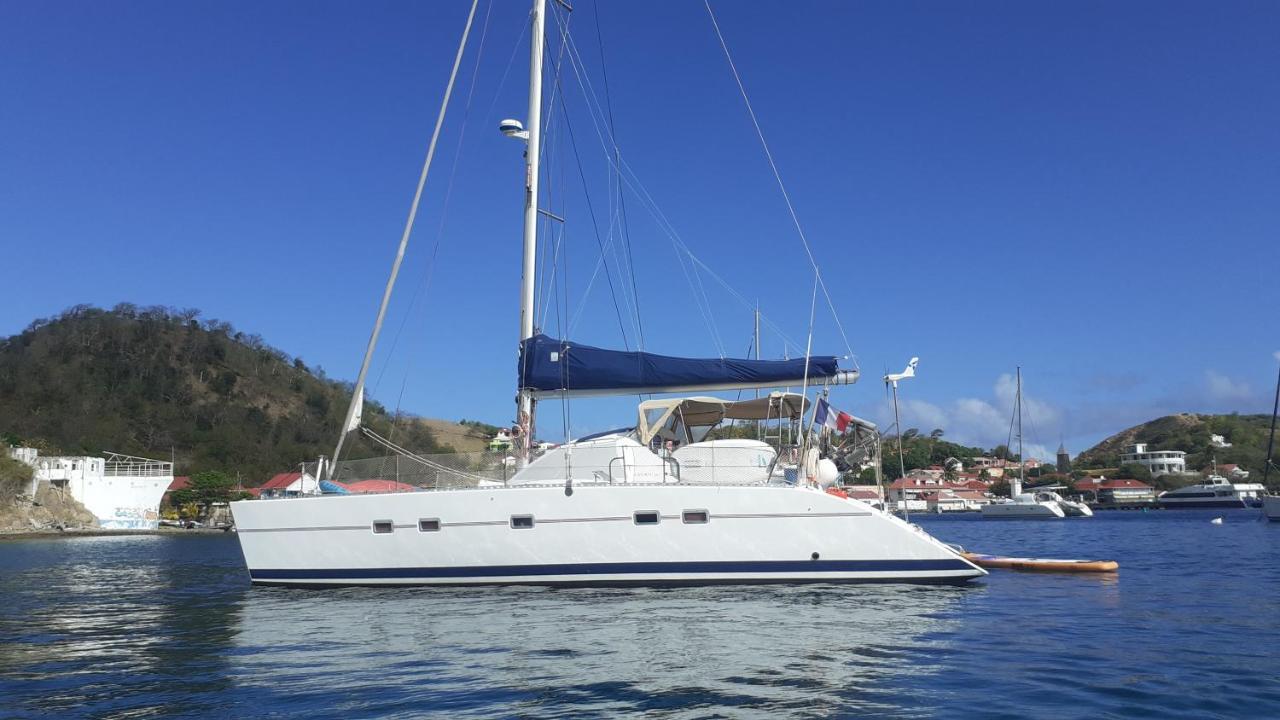 Hotel Catamaran Cypraea Terre-De-Haut Exteriér fotografie