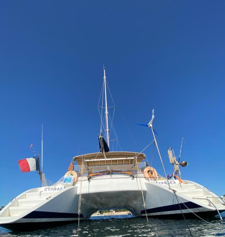 Hotel Catamaran Cypraea Terre-De-Haut Exteriér fotografie